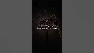 عبد الرحمن مسعد (كل نفس ذآئقة الموت)سورة العنكبوت راحة نفسية والطمأنينة #المصحف #راحة_نفسية #لايك