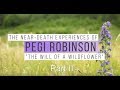 Pegi Robinson’s NDE’s Part II