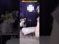 快手 抖音女主播 小羊老师 包臀裙 大奶子 抖奶 骚舞 快手 抖音女主播 小羊老师 包臀裙 大奶子 抖奶 骚舞