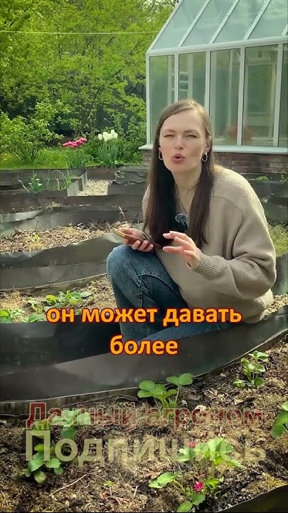 Средства от КЛЕЩА на клубнике - YouTube