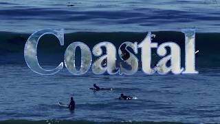 Surfing and wildlife - Pismo Beach - Shell Beach - California's Central Coast