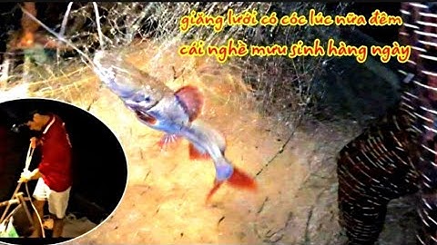 trải nghiệm giăng lưới bắt cá cóc,sông tiền dính hàng khủng