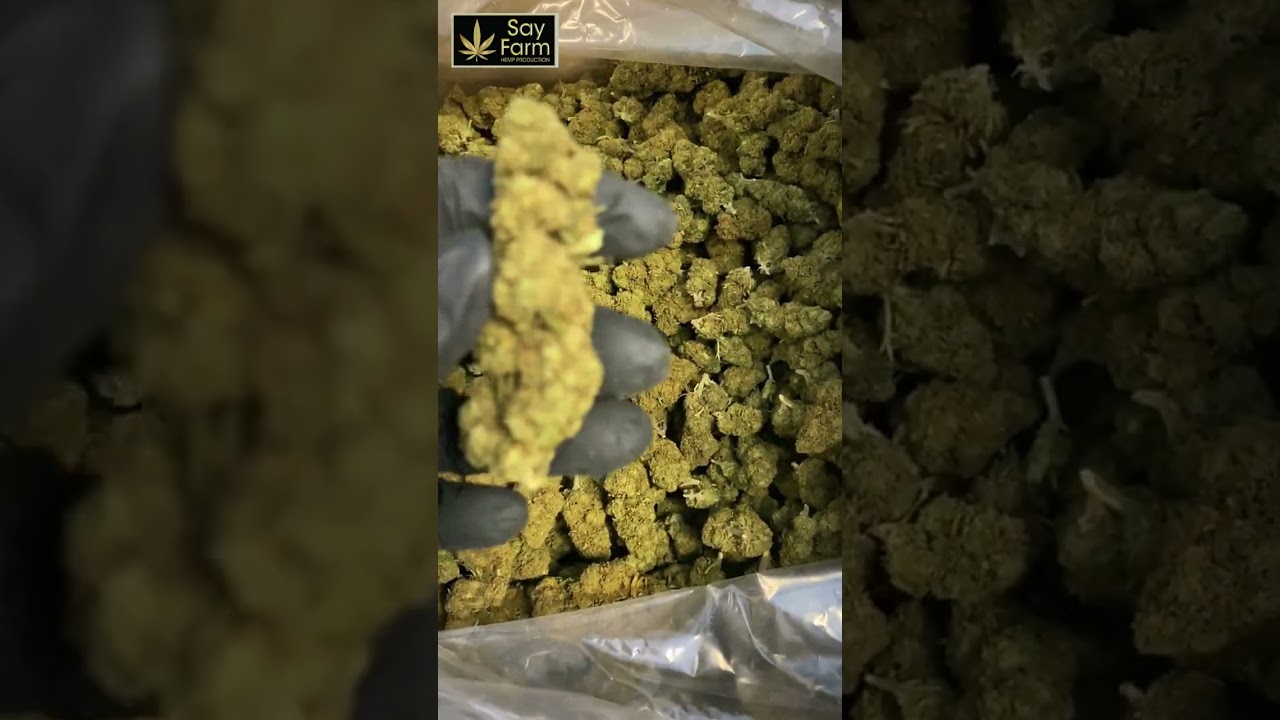 SayFarm - Superiror Caramel Candy - [SUPERIOR SELECTION]