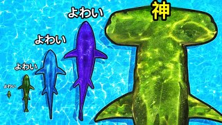 ちびサメが最大サイズのサメになるサバイバル【 SHARK: FEED AND GROW 】