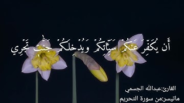 تلاوة: عبدالله الجسمي | ما تيسر من سورة التحريم
