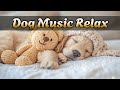 Расслабляющая музыка для собак🐾 Успокаивающие звуки для сна, снятия стресса и умиротворения собак ❤️