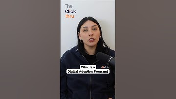 What is a Digital Adoption Program?