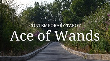 Ace of Wands: Description in 3 Minutes