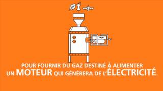 EDF PULSE - TERI