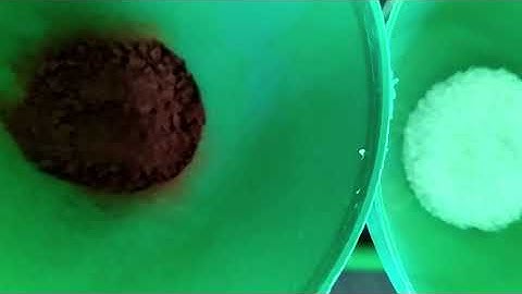 Automatic Coffee Machine - Arduino Projects 2020 - Arduino Coffee Maker (Blueetoth Controlled)