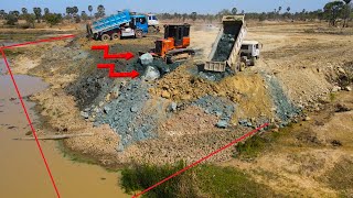 Huge New Project Land Fill Up Skill Operating By Red Yellow  Dozer Nice Moved Dirt And Dumper Truck