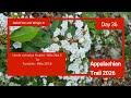 A.T. Day 36 - All the flowers seem in bloom