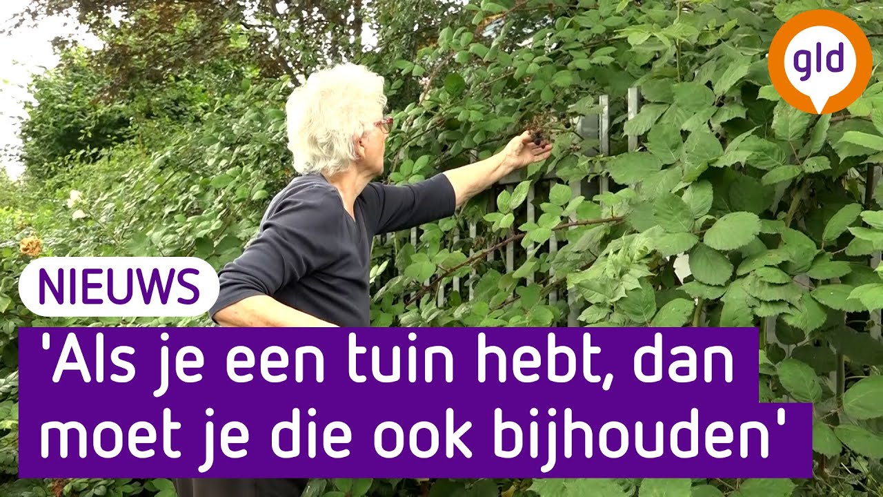 Het onkruid groeit zo hard, dat ze het in Tiel niet meer bij kunnen benen