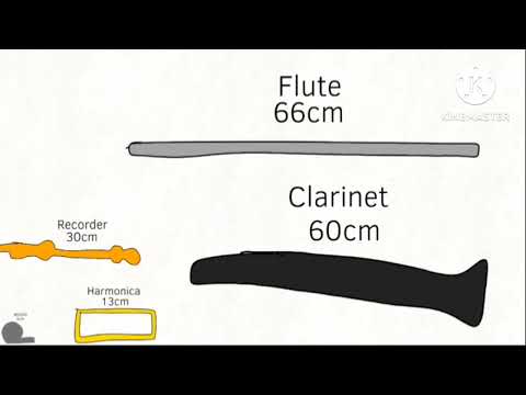 Instruments Size Comparison