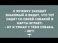 Мужик играет в карты со своей собакой. Сборник Свежих Анекдотов! Юмор!