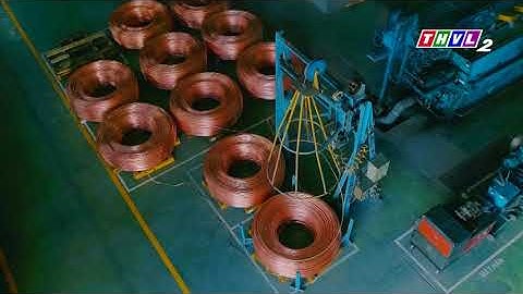 Dây cáp điện Daphaco_THVL2