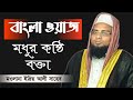 Maulana idris ali saheb  bangla new waz  hussainia media