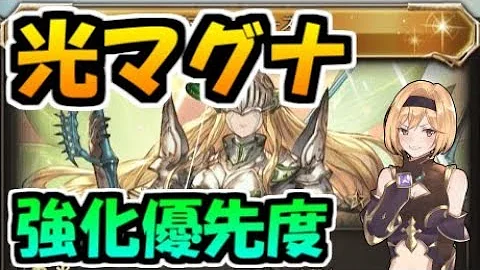 光マグナ 理想