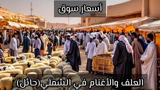 ‏أسعار الأغنام والعلف في أحد قرى حائل الشملي 🐏 #حراج_الغنم