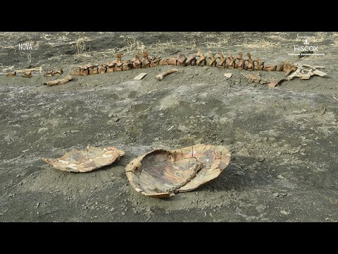 Dinosaur Park Nj - Fossil Park unearthed dinosaur fossils | Secretly Awesome