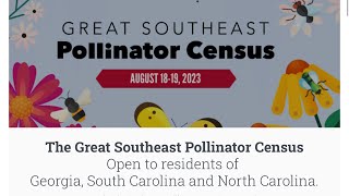 The Great Southeast Pollinator Census, August 18, 2023