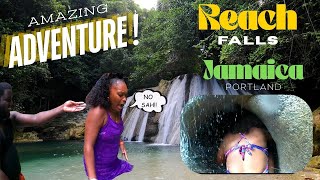 Celebrity "Family Adventure at Reach Falls, Jamaica 🌴💦 | Fun, Laughter & Memories!" Wealth