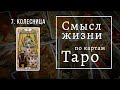 Смысл жизни -  КОЛЕСНИЦА . Смысл жизни по картам Таро #7 . Школа Таро пана Романа 2021