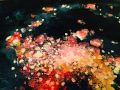 カリーナ (オリジナル)