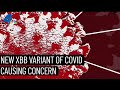 New “XBB” Variant Causing Concern | NBCLA
