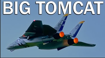 Top Gunning the F-14 Tomcat (Freewing F-14 80mm RC Plane)