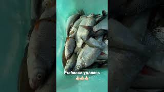 Рыбалка с ночевкой))#shortvideo #москва #жизнь #рыбалка #shorts #отдых