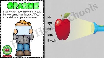 Light and Shadow Part 1 Class 5 Science Holy Heart Schools