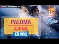 Agua Marina - Paloma Ajena (En Vivo OFICIAL)