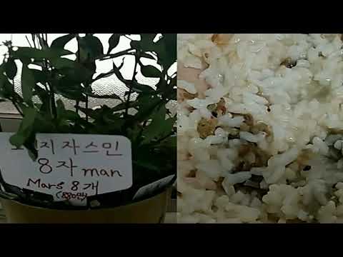 [everysing] 항상 그 자리에
