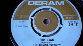THE HUMAN INSTINCT - Pink dawn Resimi