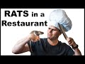 Catching Huge Nasty Rats In A Restaurant.  Housetrap Monday Episode 2. Mousetrap Monday