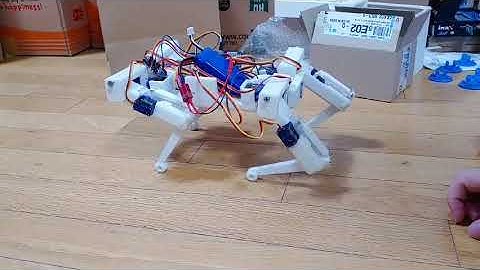 Quadruped robot-first walking test 4족 보행 로봇 첫 걷기 테스트