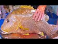 Giant Brown Grouper Fish Cutting | Live Fish Cutting Skills | Fish Cutting Video #bdfish