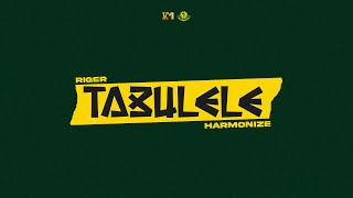 Смотреть клип Riger X Harmonize - Tabulele (Official Yanga Anthem)