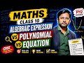 Algebraic Expressions vs Polynomial Vs Equation | Understand these fundamental terms