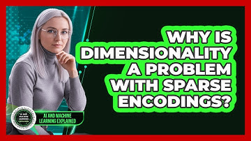 Why Is Dimensionality A Problem With Sparse Encodings?