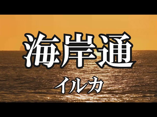 海岸通りイルカ