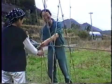 1991 ８ エンドウの支柱立て Youtube