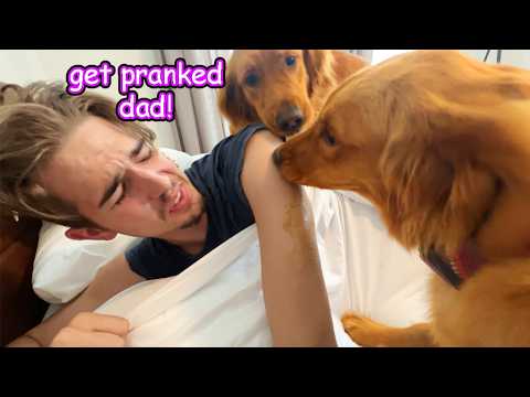 My Dogs PRANKED Me *Revenge*