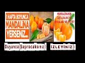 Bir hafta boyunca her gün 5 adet mandalina yerseniz ne olur !!!