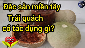 Sức khỏe: Trái quách có tác dụng gì với sức khỏe ? NTN SL