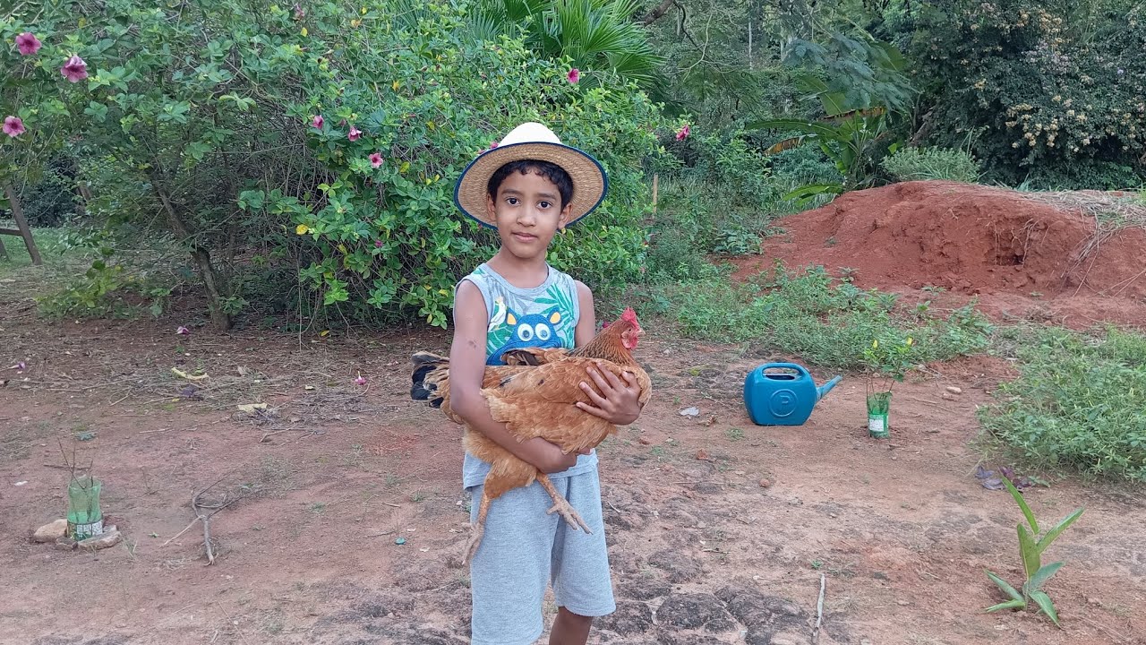 u fazendeiro ganhou outro chapéu, ganhei muitas mudas de orquídeas 🌺🌺🌺💞