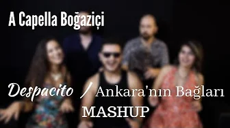 A Capella Boğaziçi - Despacito / Ankara'nın Bağları Mashup