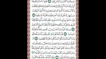 القران الكريم| القارئ مشاري العفاسي صفحة 21 سورة البقرة