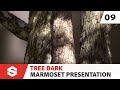 Tree Bark - Presentation with Marmoset Toolbag | Substance 3D